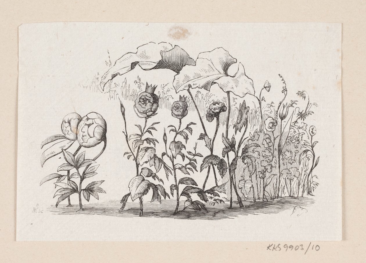 Ilustración para "Las flores de la pequeña Ida" en H.C. Andersen, "Cuentos y Historias", Volumen 1 de H.P. Hansen