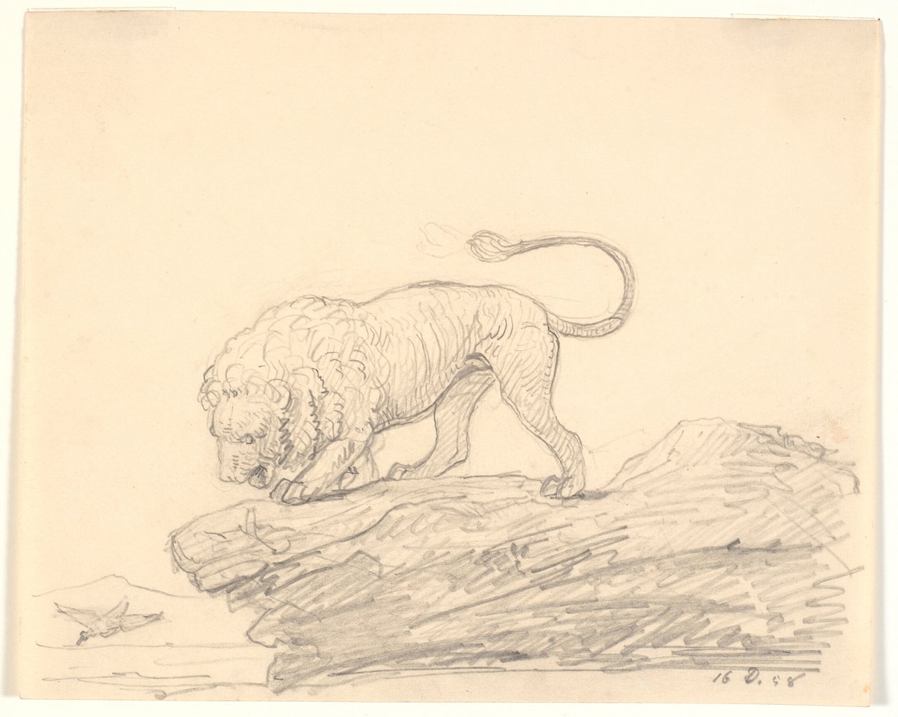 Un león en una roca. Está mirando a un pájaro que vuela cerca de H.W. Bissen