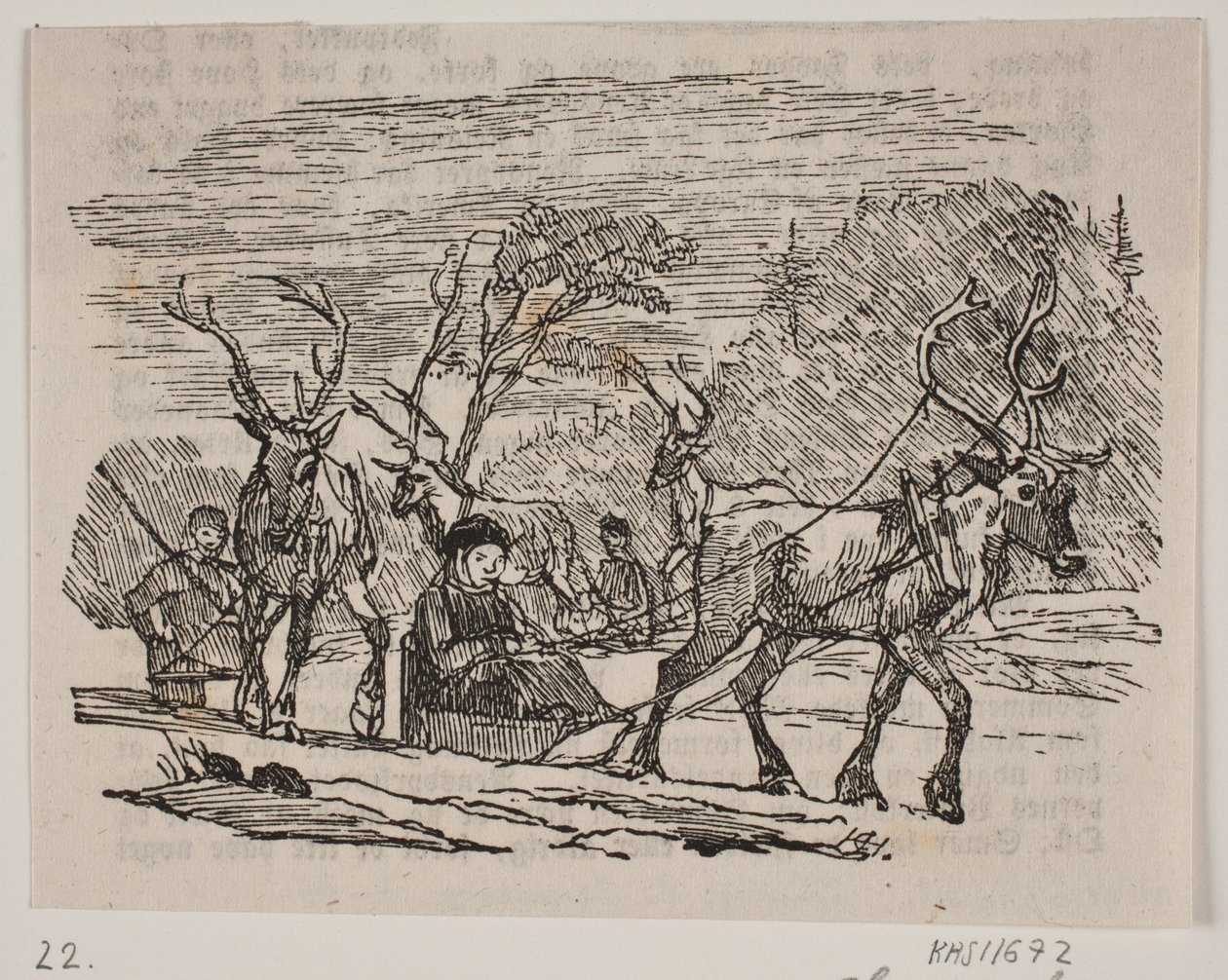 Paseo en trineo con renos de H. C. Henneberg