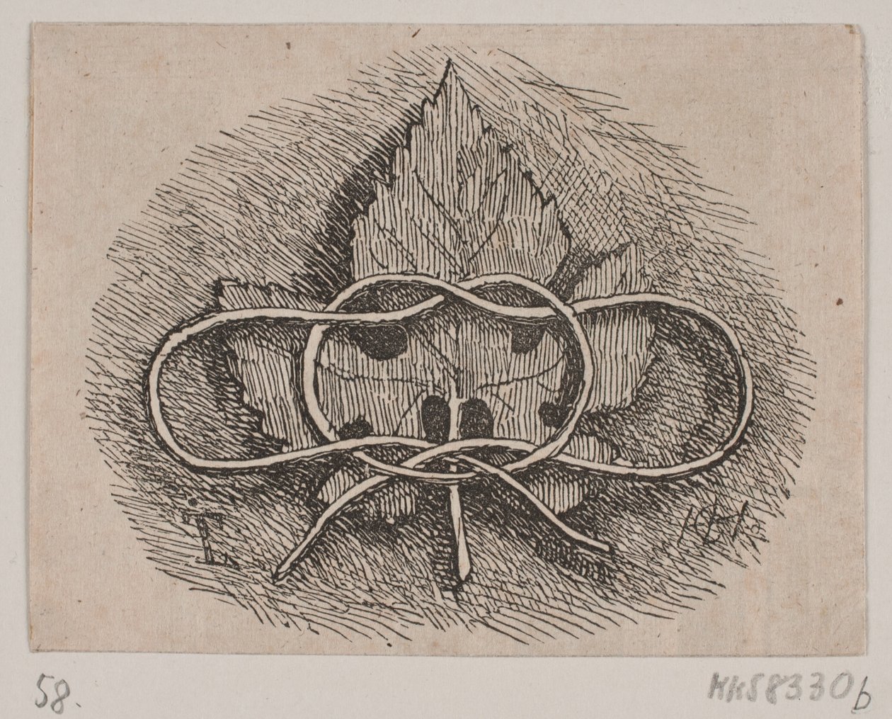 Trenzado sobre una hoja de H. C. Henneberg