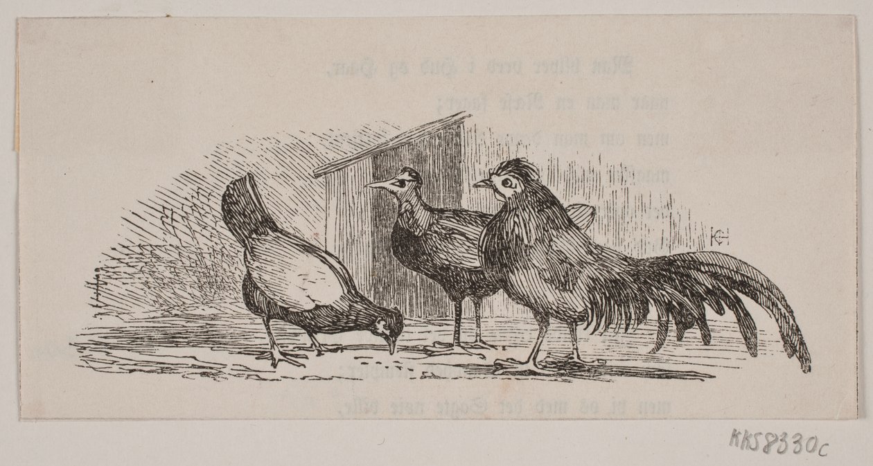 Tres gallinas de H. C. Henneberg
