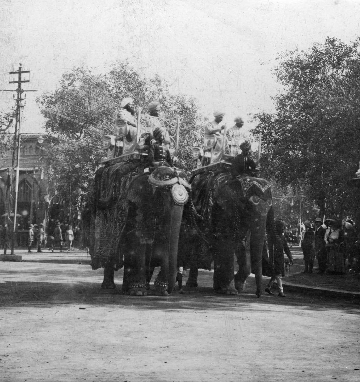 Una princesa punjabí montando un elefante en una procesión, Delhi, India, años 1900 de H. Hands and Son