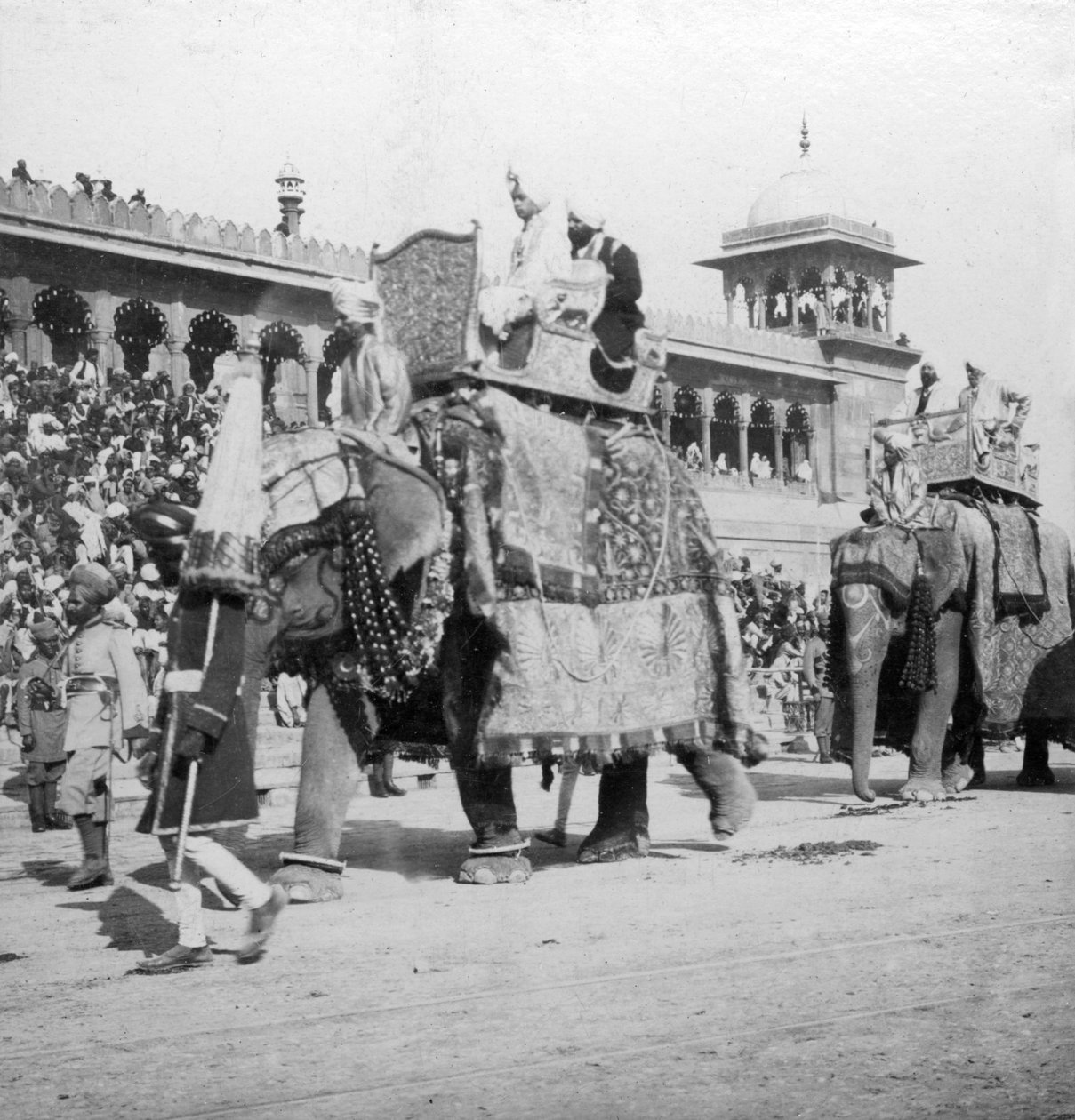 Una procesión de elefantes pasando por la Mezquita Jumma, Delhi, India, 1900s de H. Hands and Son