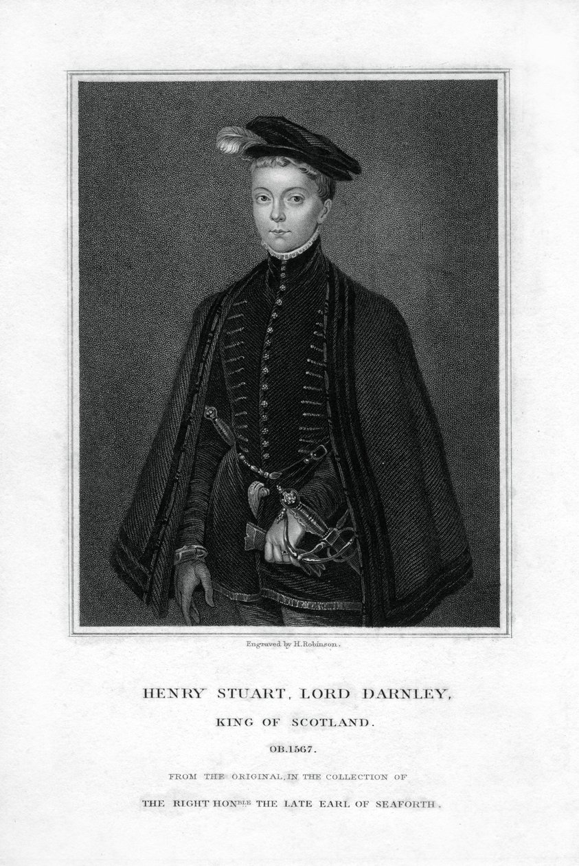 Henry Stuart, Lord Darnley, segundo esposo de María, Reina de Escocia, siglo XIX de H. Robinson