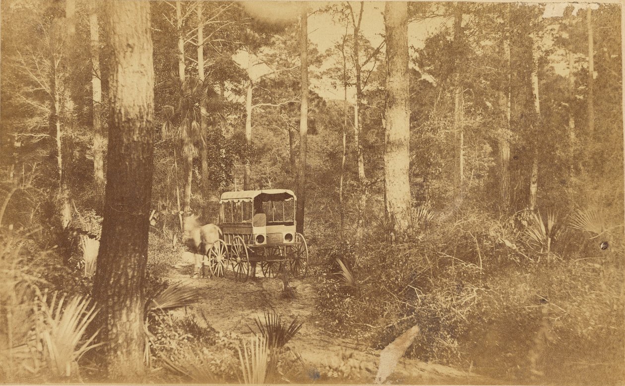 Escena en Folly Island de Haas and Peale