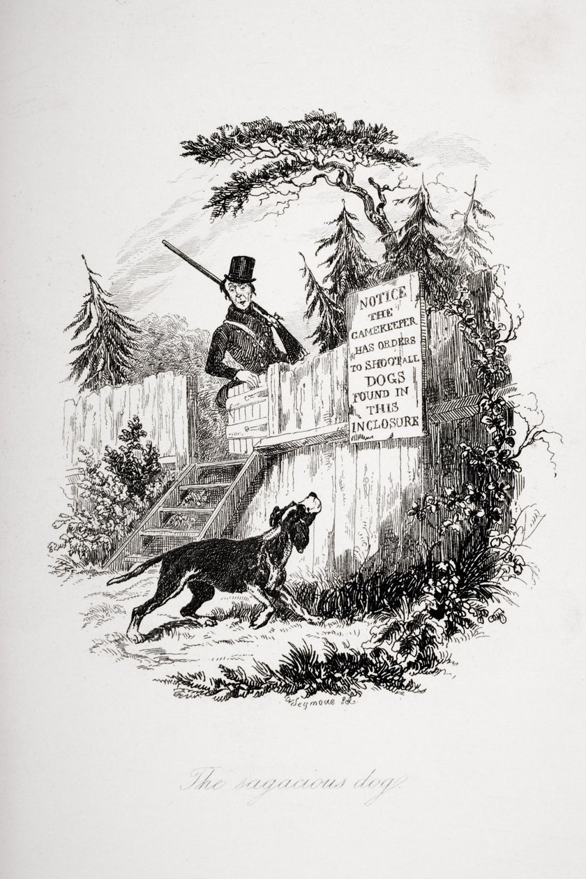 El perro sagaz, ilustración de 
