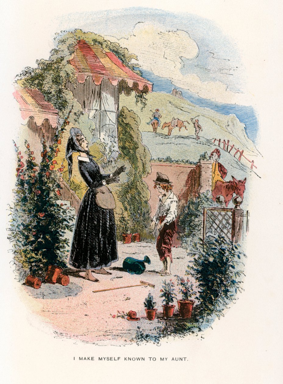  de Hablot Knight (1815-92) (after) Browne