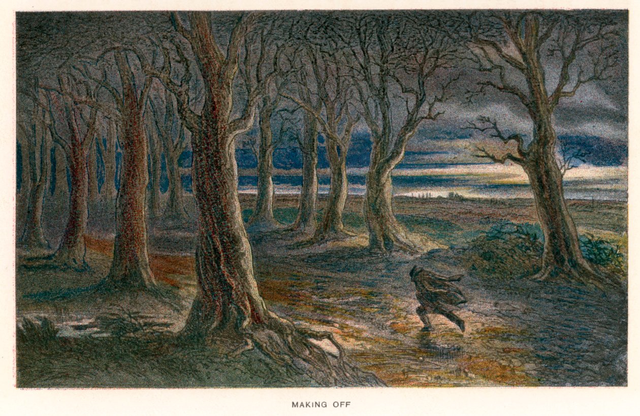  de Hablot Knight (1815-92) (after) Browne