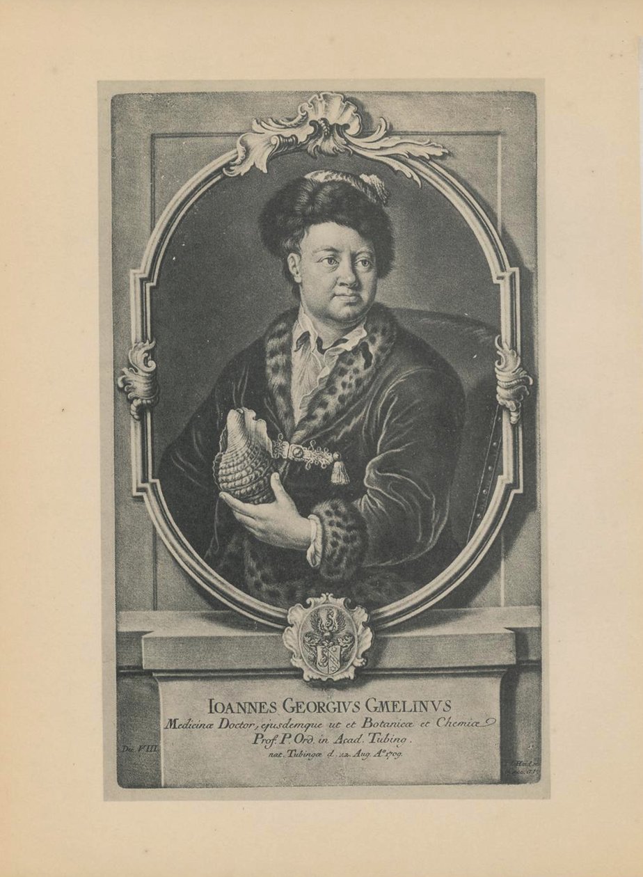 Retrato del naturalista, botánico y geógrafo Johann Georg Gmelin 1709-1755, mediados del siglo XVIII de Haid