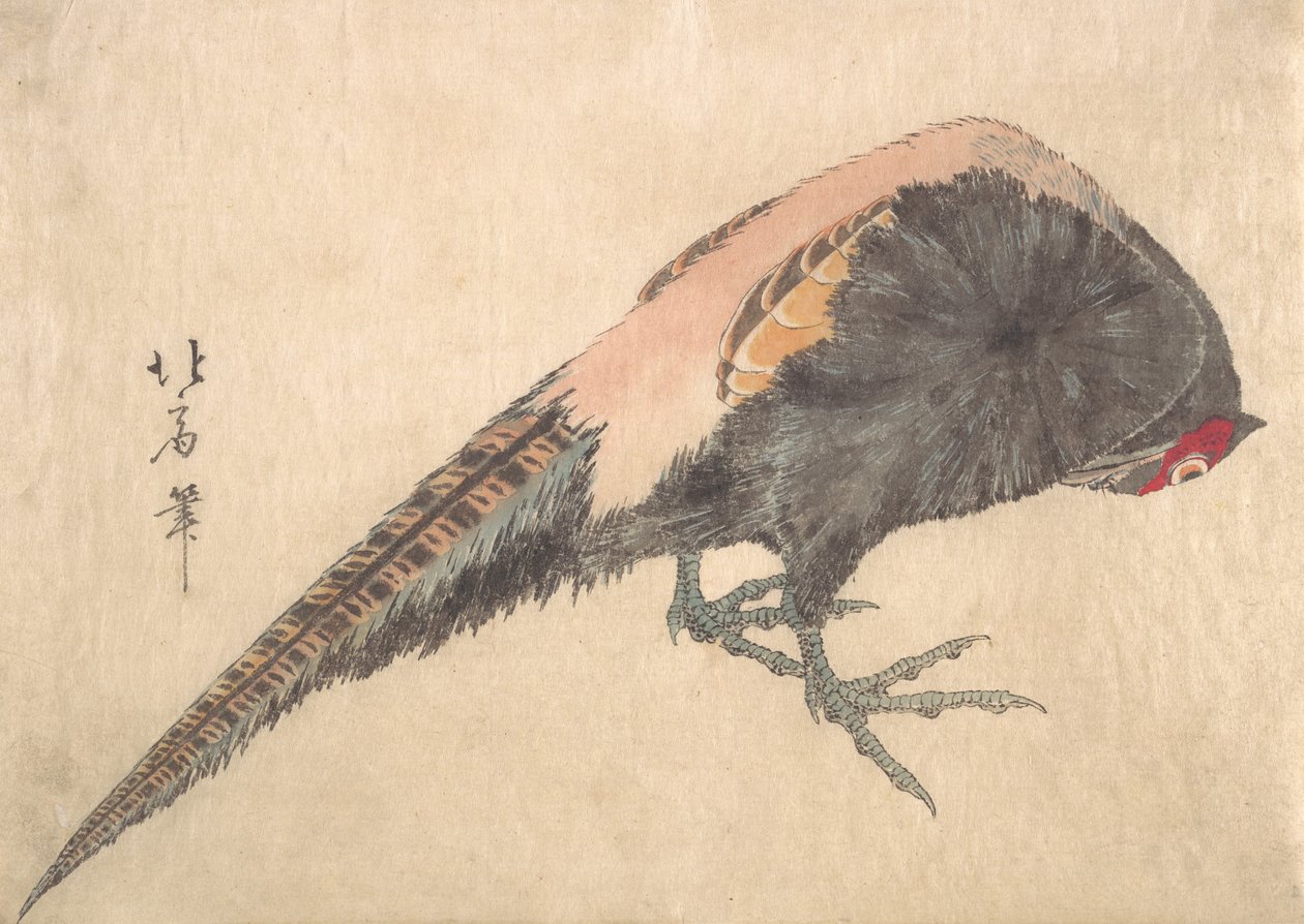 Pájaro, 1830s de Hakusanjin Hokui