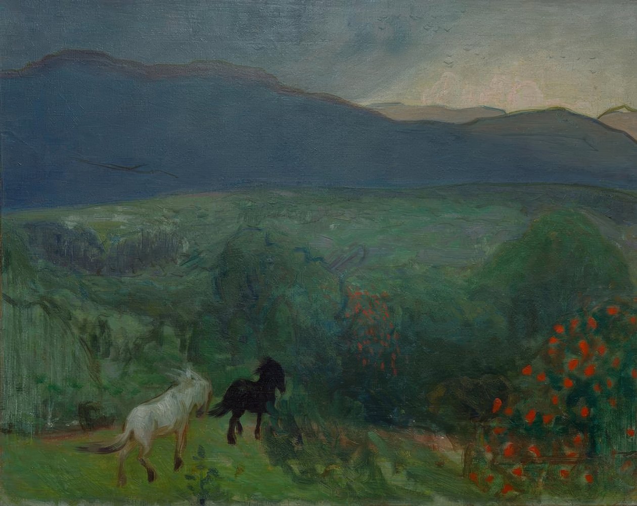 Tormenta que se avecina, Telemark de Halfdan Egedius