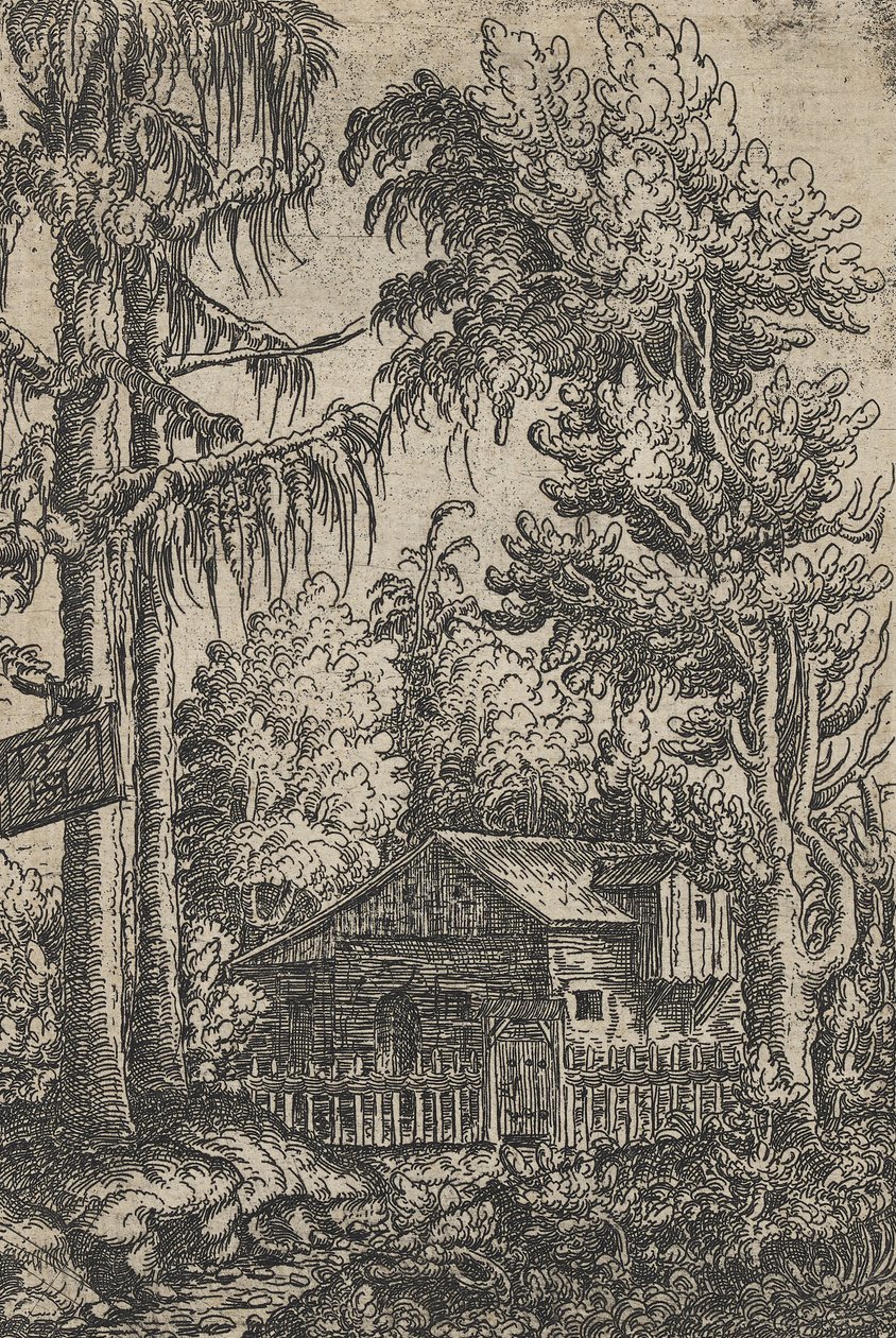 Una cabaña y dos pinos de Hanns Sebald Lautensack