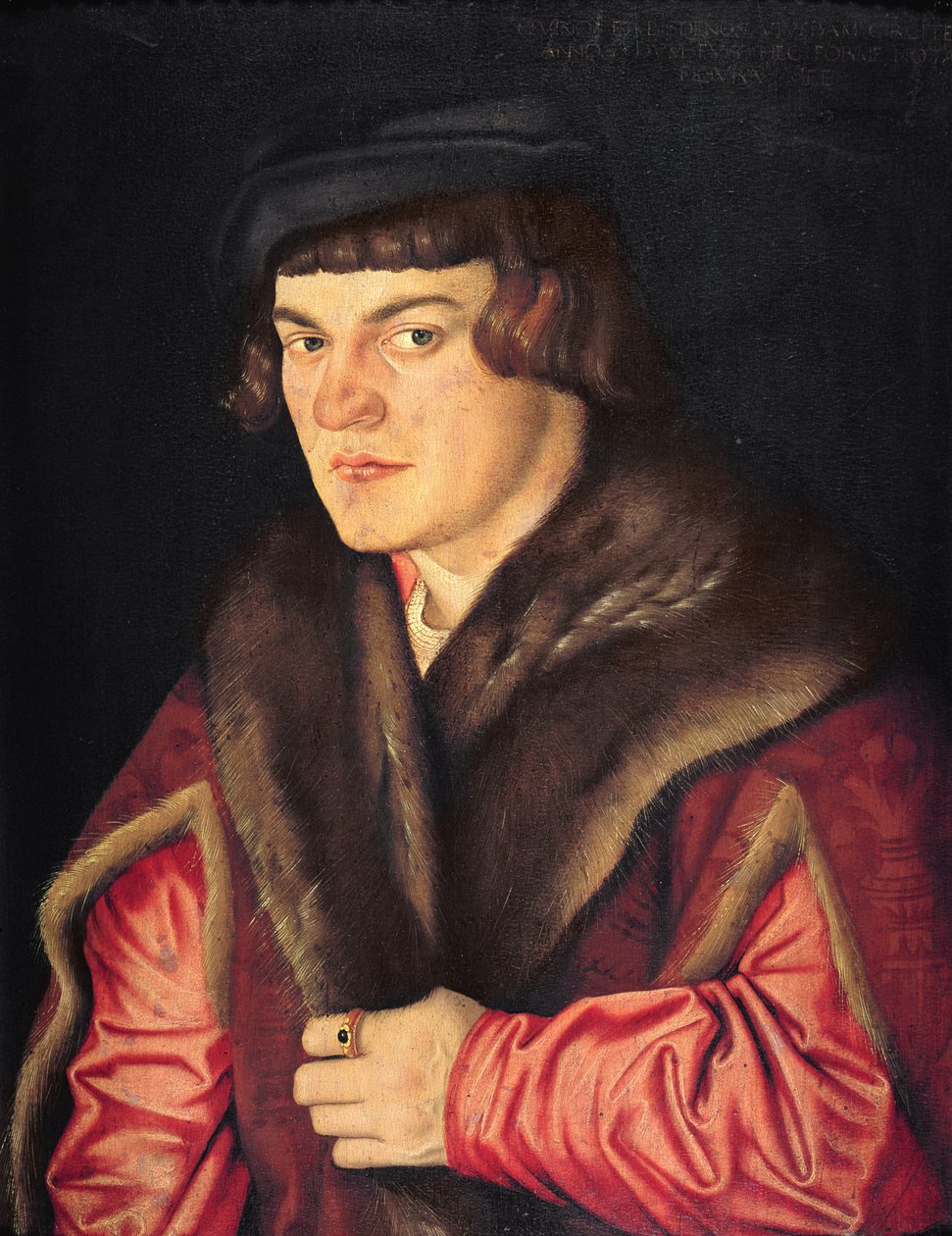 Retrato de un hombre de Hans Baldung Grien
