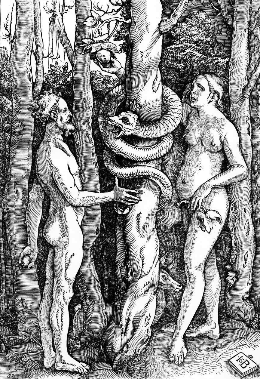 La caída del hombre, c.1514 de Hans Baldung Grien