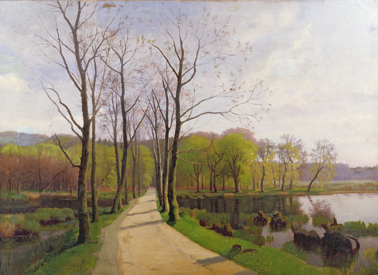 Paisaje de Primavera de Hans Brasen