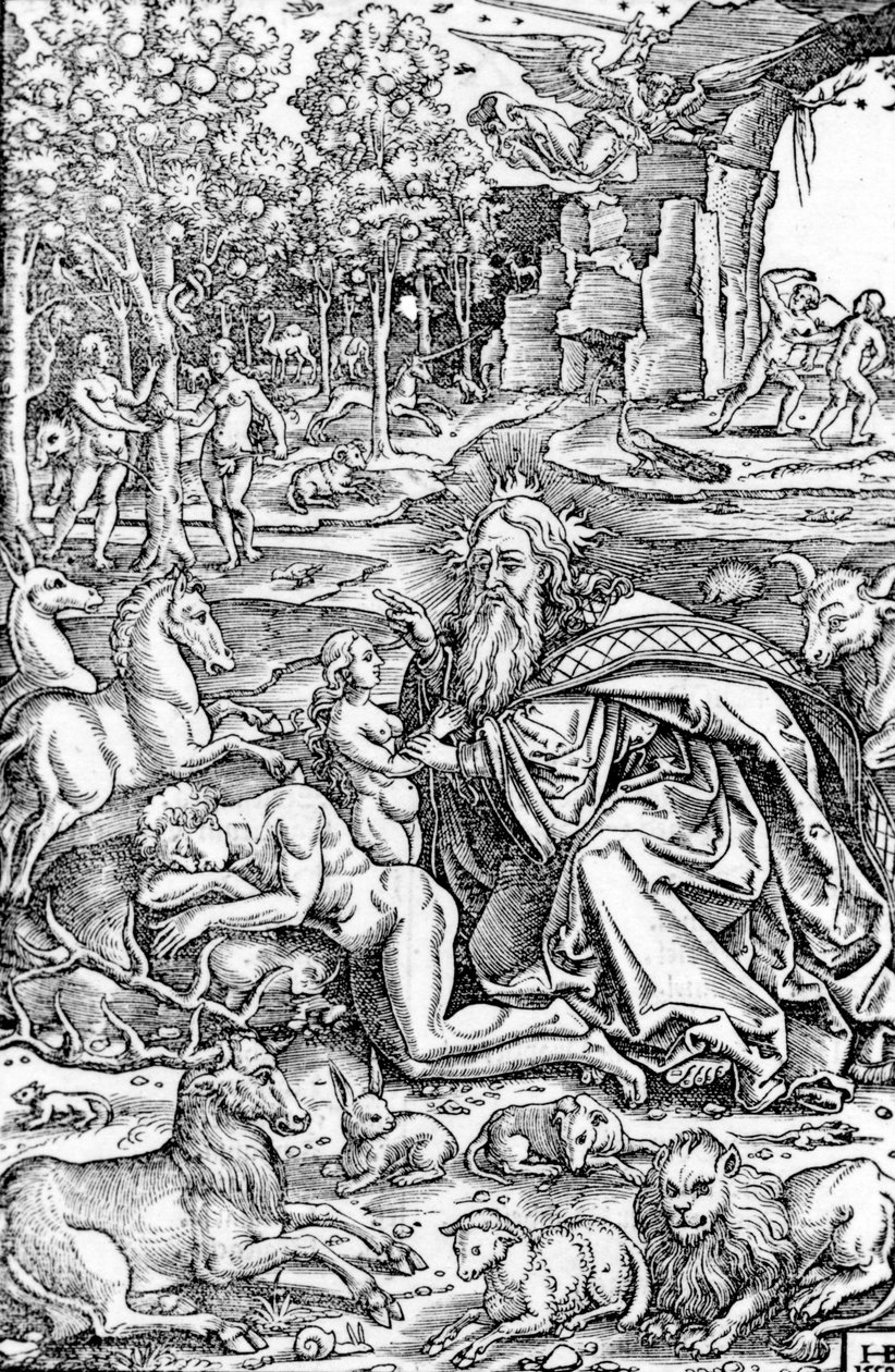 La creación de Eva, de La Biblia de Lutero, 1550 de Hans Brosamer