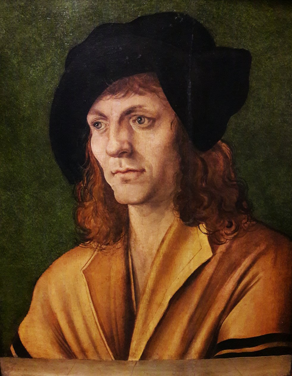 Retrato de un hombre con un jubón amarillo de Hans Leonhard Schäufelein