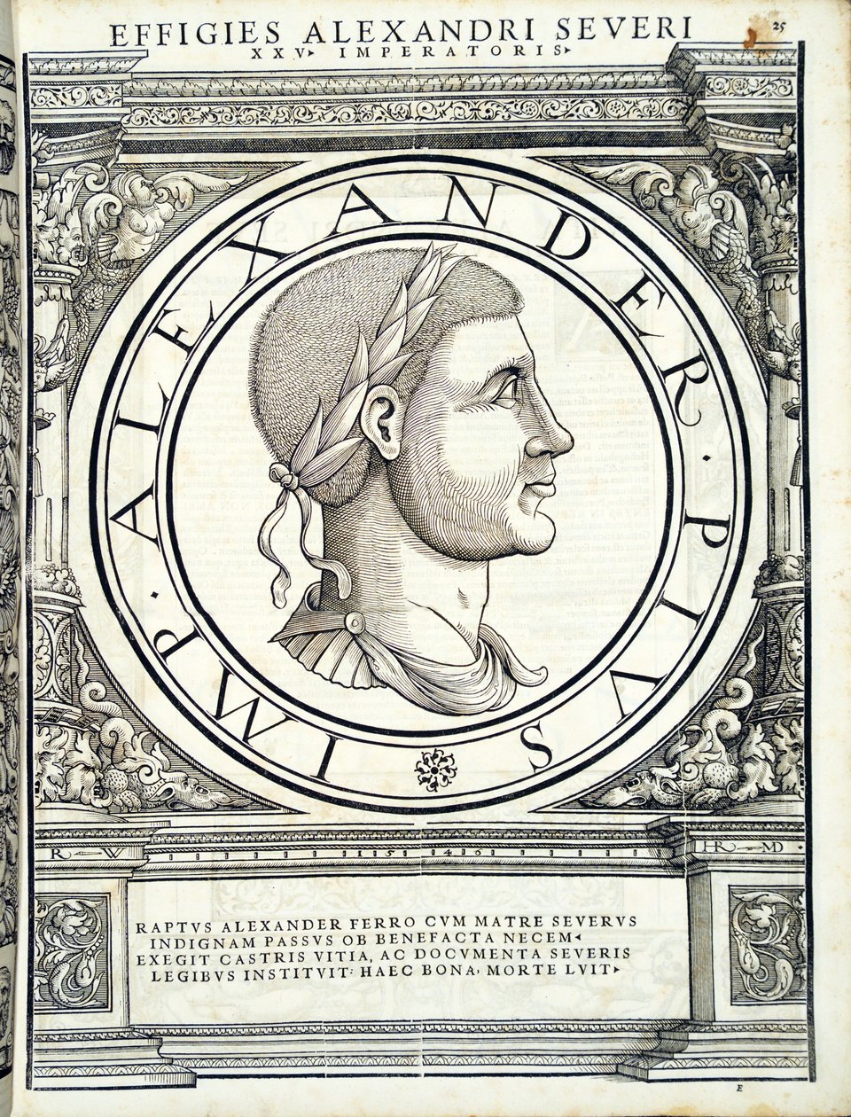 Alejandro Severo, ilustración de 