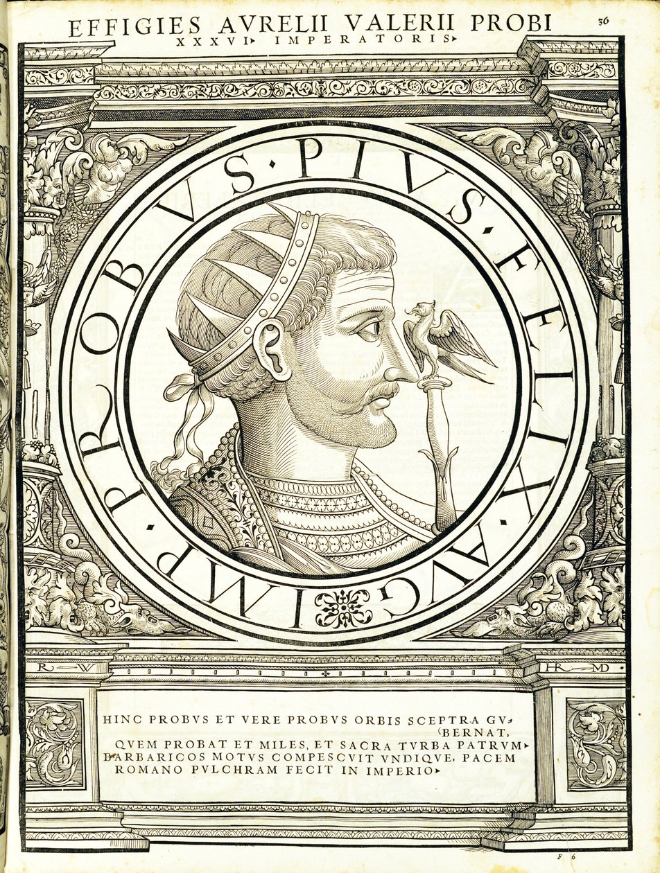 Probo, ilustración de 
