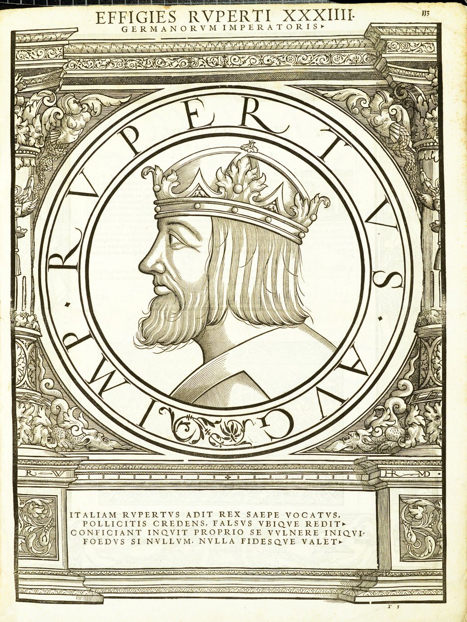 Rupertus, ilustración de 