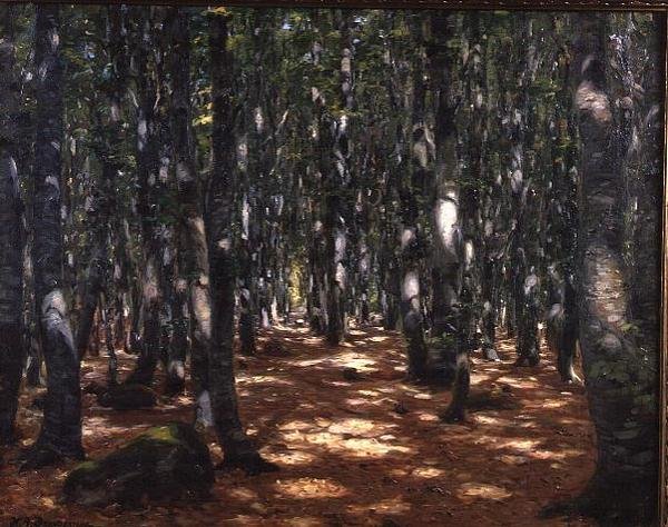 Bosque Iluminado por el Sol de Hans Andersen Brendekilde