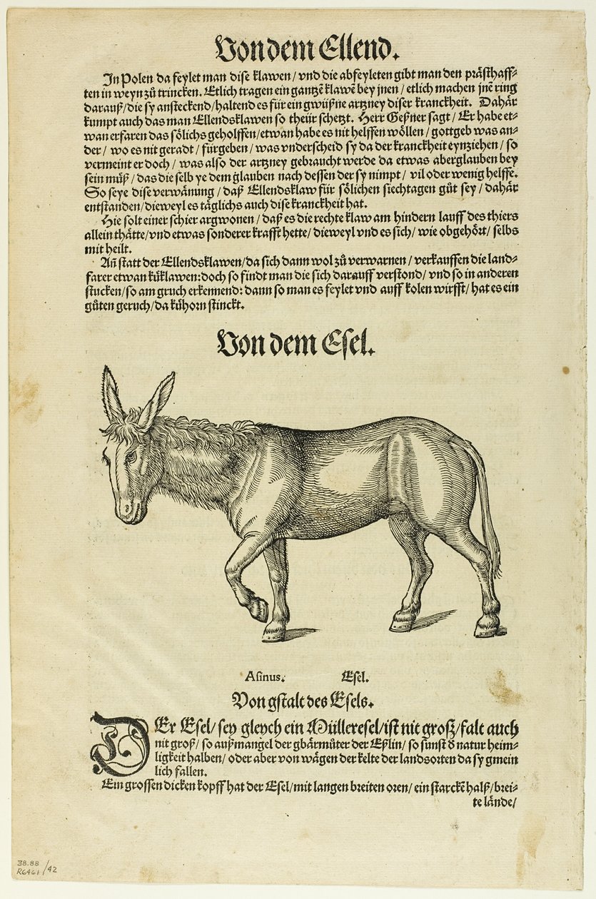 Ilustración de "Thierbuch", lámina 42 de Xilografías de libros del siglo XVI de Hans Asper