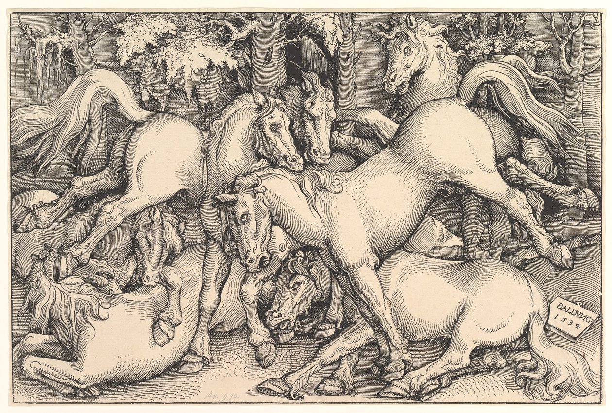 Grupo de siete caballos, 1534 de Hans Baldung