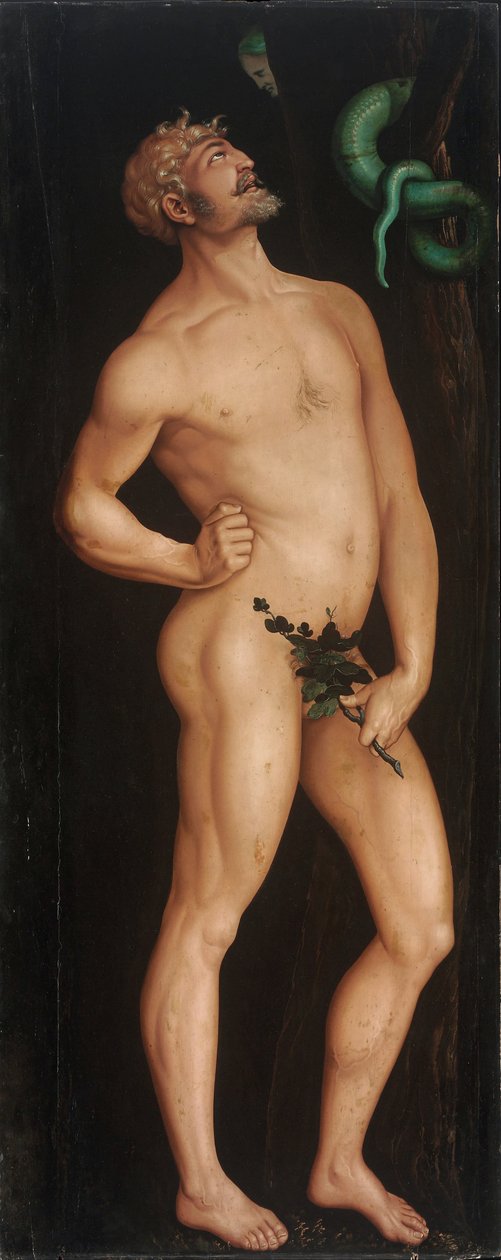 Adam de Hans Baldung Grien