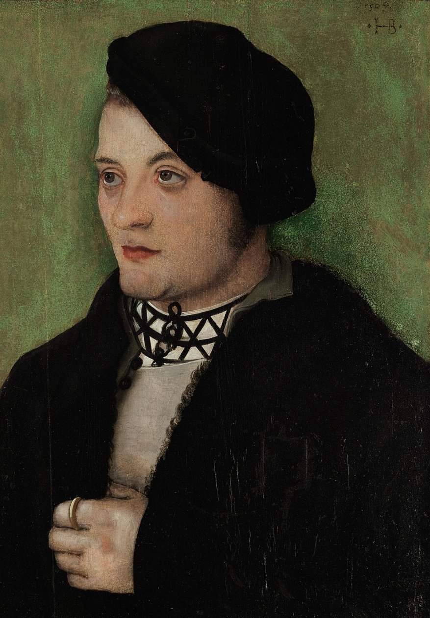 Alemán: Retrato de un joven de medio perfil a la izquierda Retrato de un joven de Hans Baldung Grien