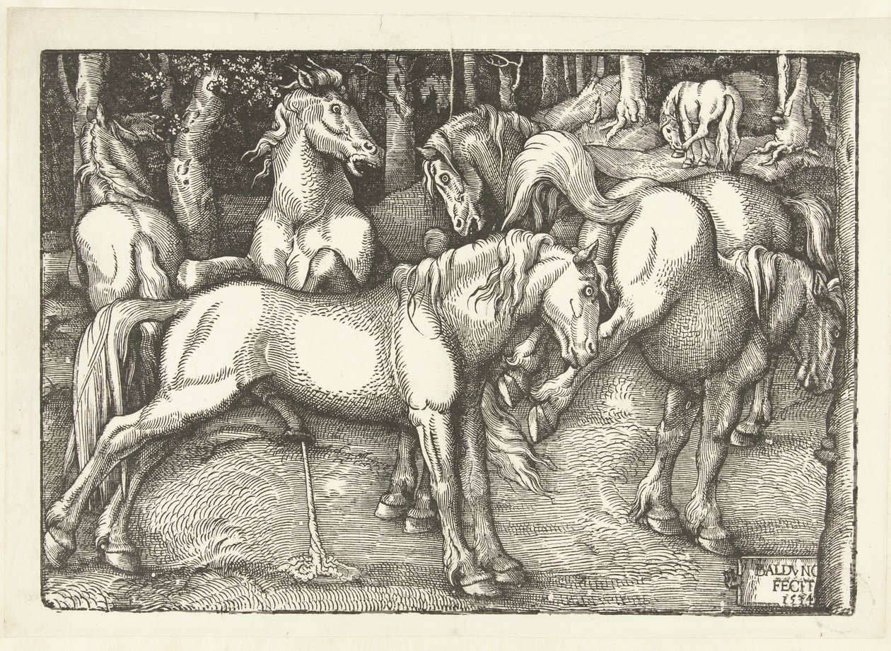 Grupo de seis caballos de combate de Hans Baldung Grien