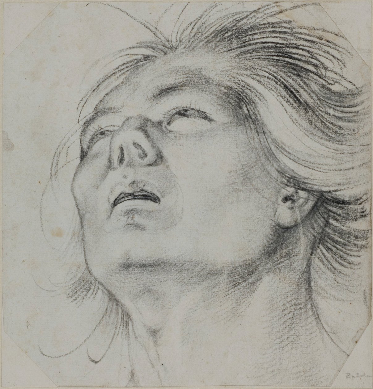 Cabeza de un joven, vista desde abajo de Hans Baldung Grien