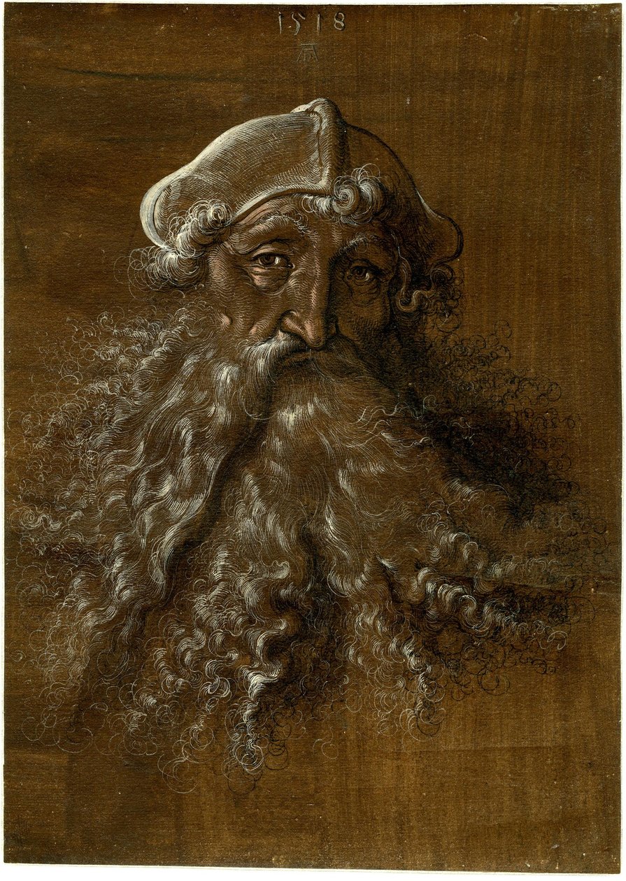 Cabeza de un anciano con barba poblada de Hans Baldung Grien