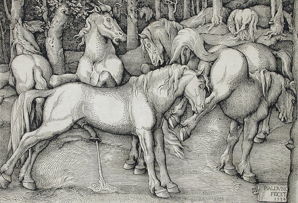 Un semental y una yegua que da una coz en medio de una manada de caballos salvajes en el bosque de Hans Baldung Grien