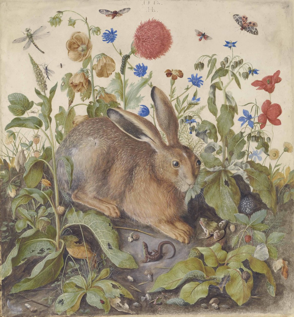 Una liebre entre plantas, 1582 de Hans Hoffmann