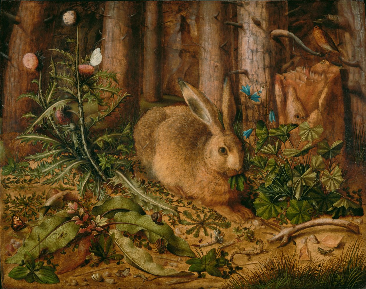 Una liebre en el bosque de Hans Hoffmann
