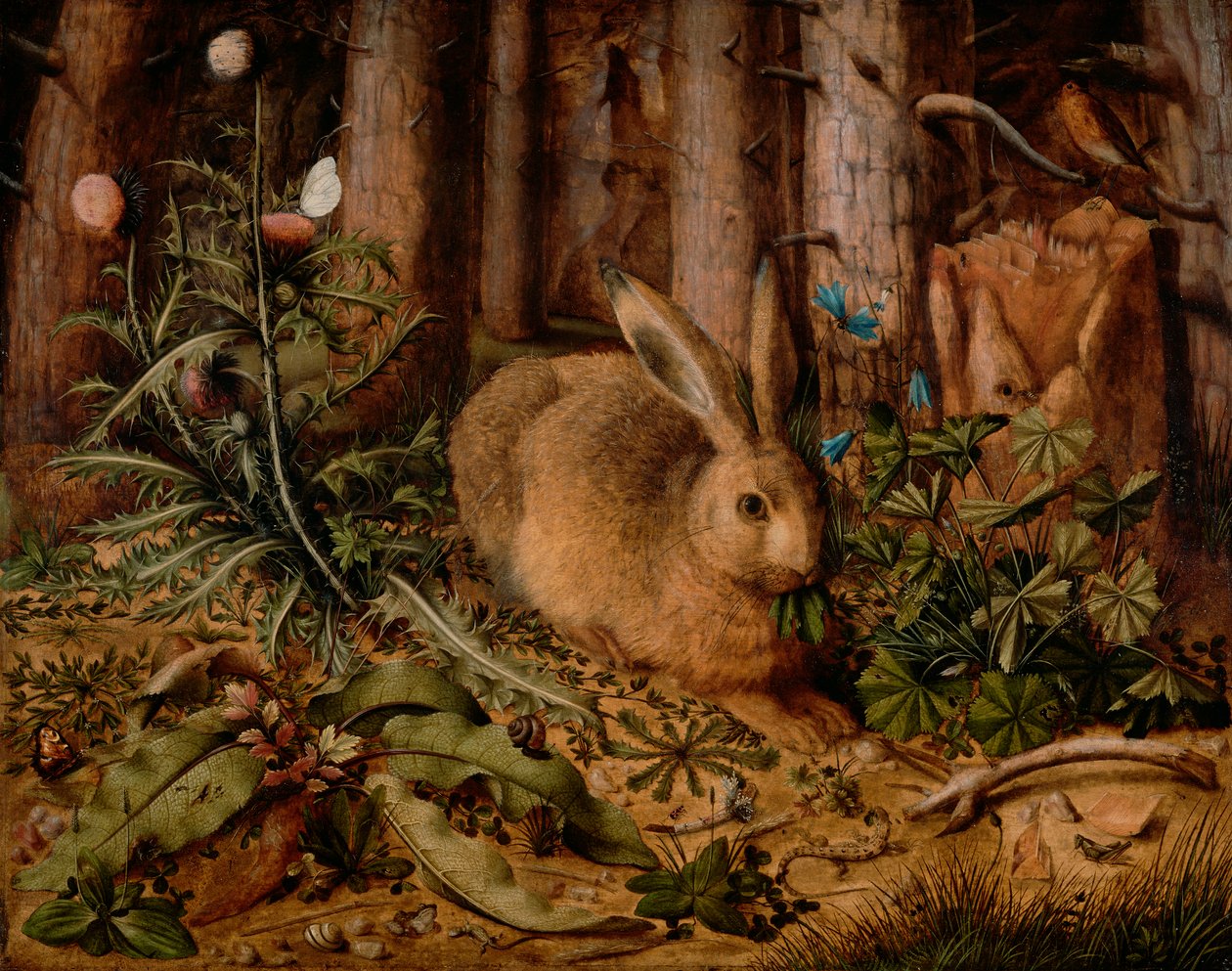 Una Liebre en el Bosque, c. 1585 de Hans Hoffmann