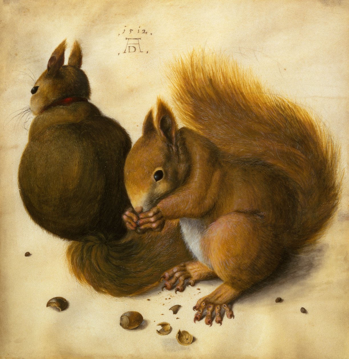 Dos Ardillas, Una Comiendo una Avellana de Hans Hoffmann