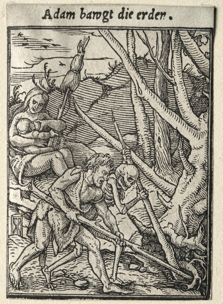 Danza de la Muerte: Adán Labra la Tierra de Hans Holbein