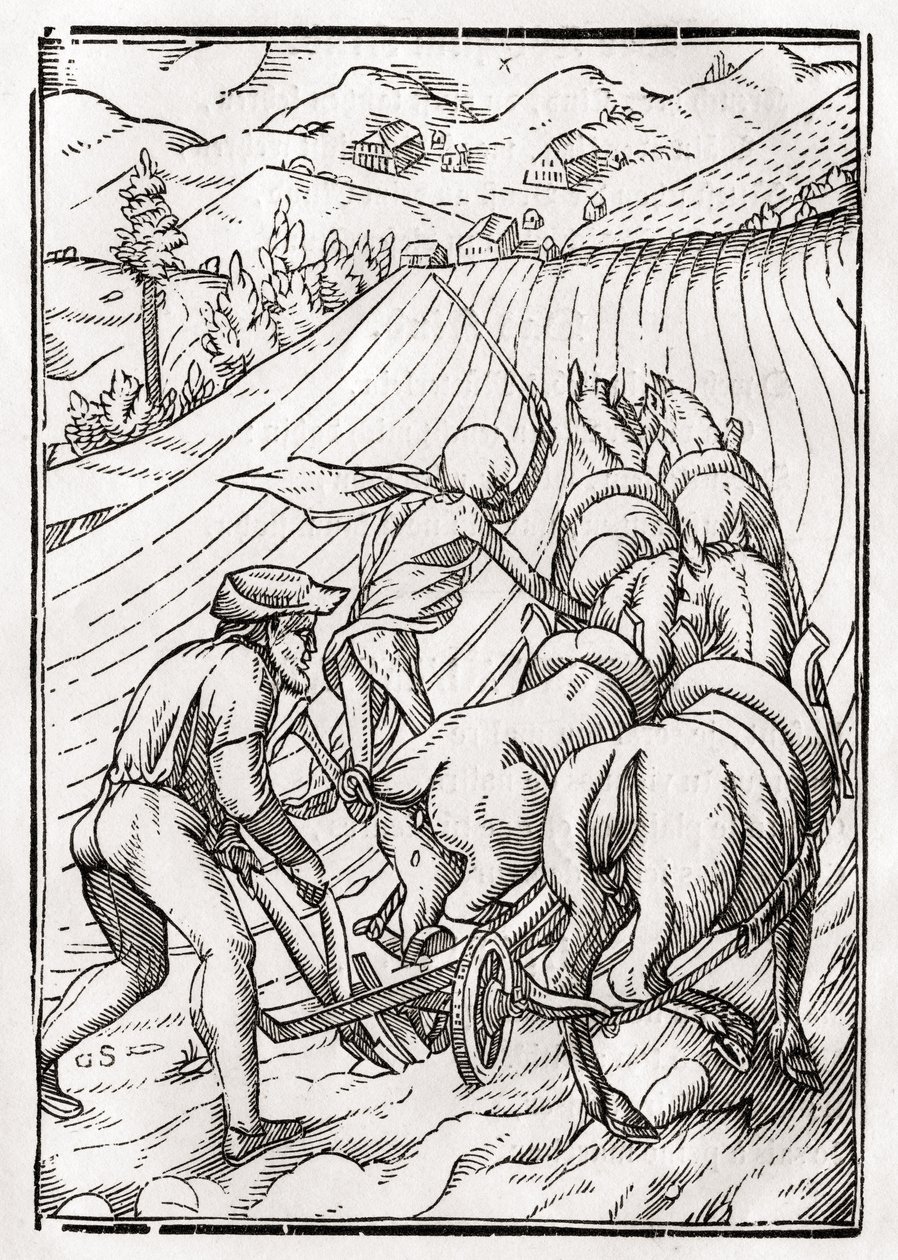 La muerte viene por el granjero o labrador, grabado por Georg Scharffenberg, de 