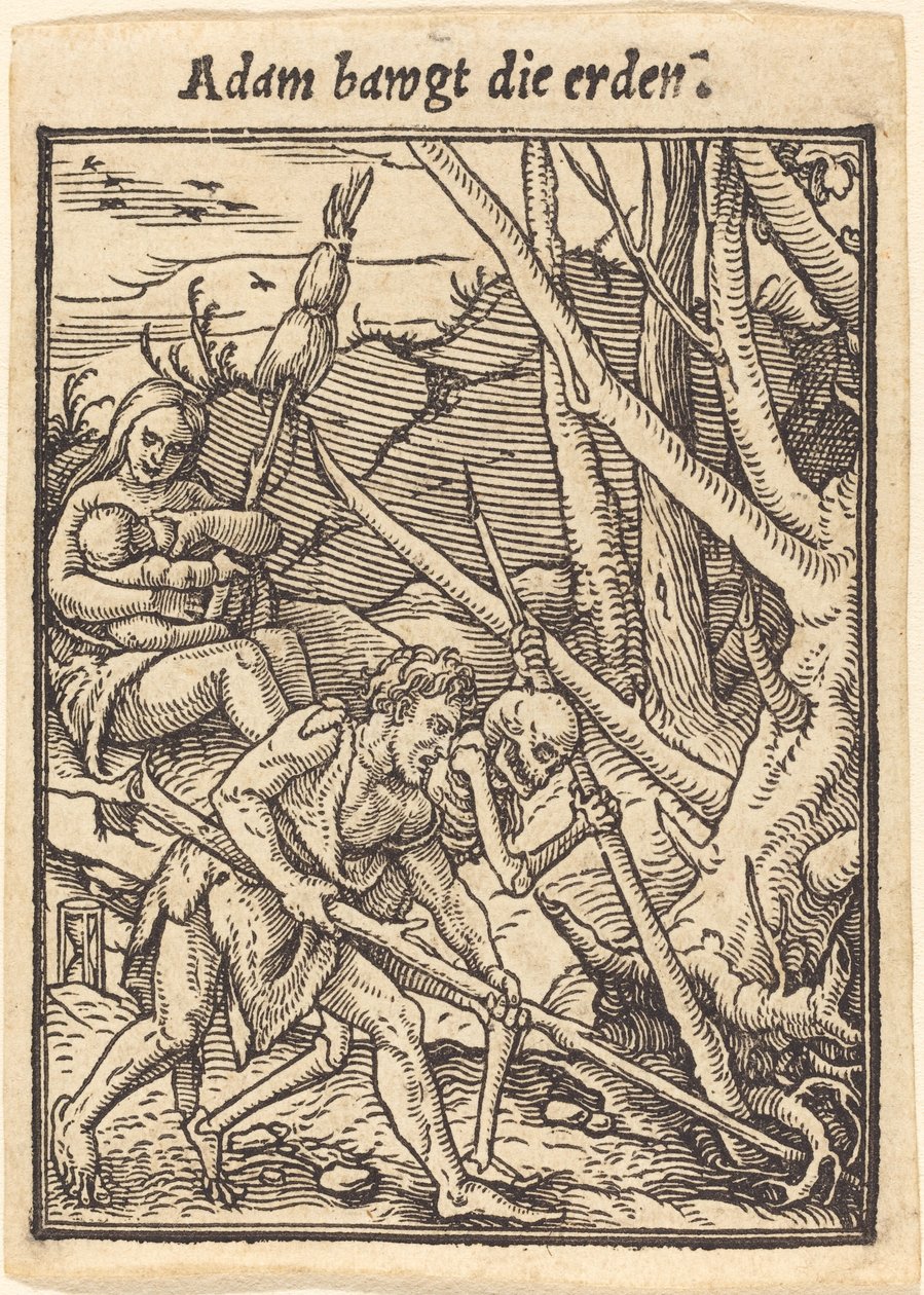 Adam bawgt die erden de Hans Holbein der Jüngere
