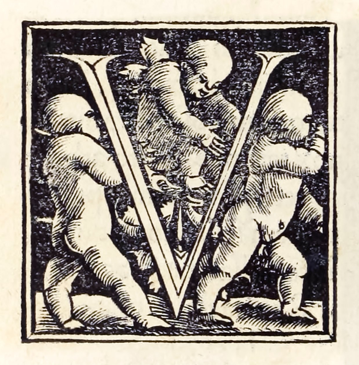 Letra iluminada "V" de la tercera edición de Basilea de 1518 de 