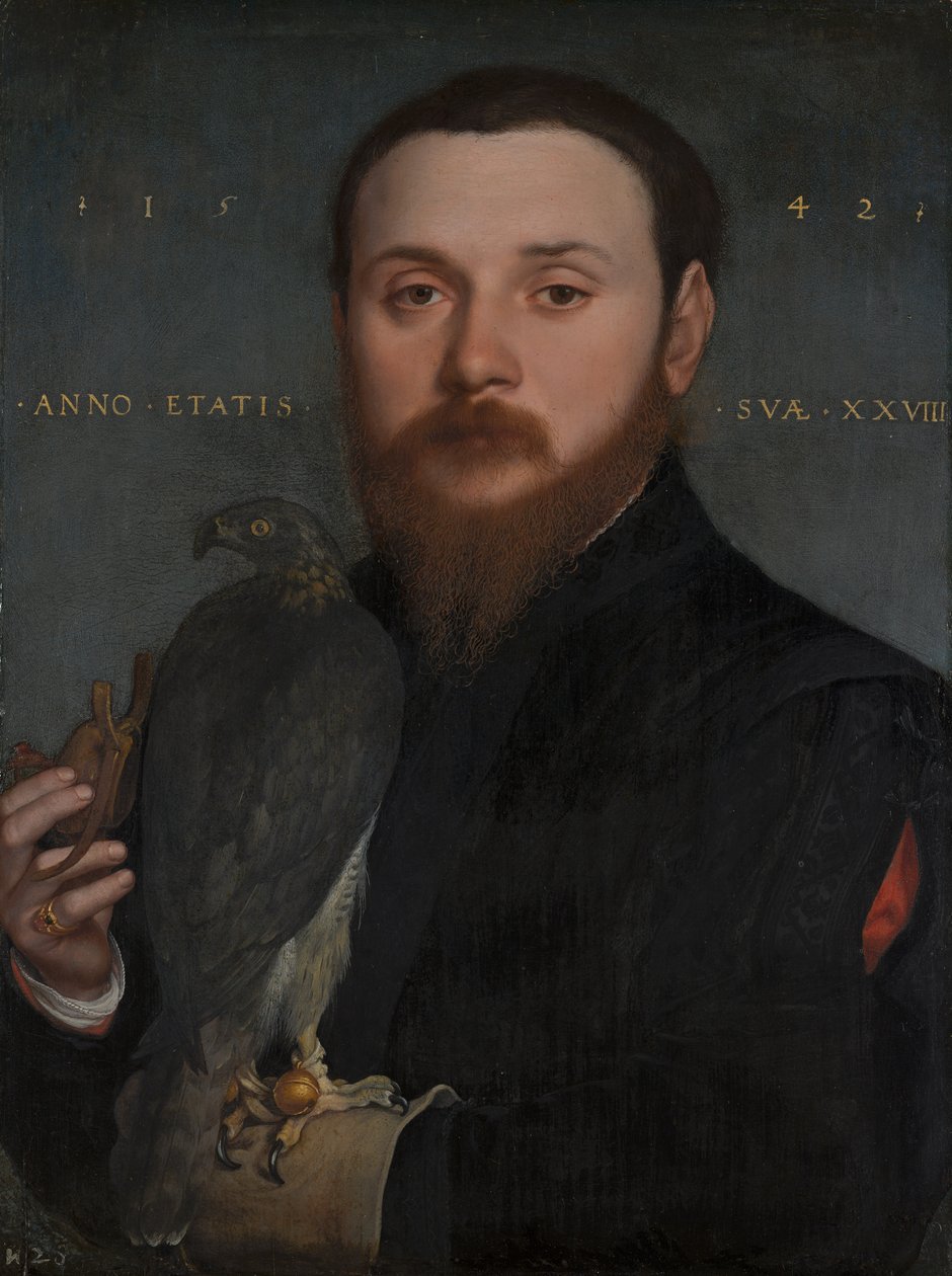 Retrato de un noble con un halcón de Hans Holbein der Jüngere