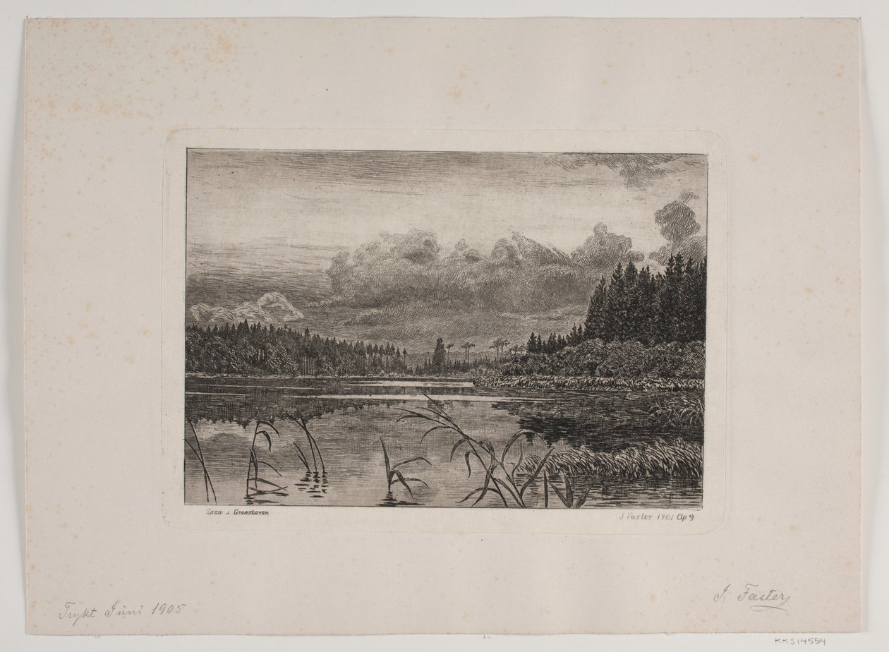 El lago en el bosque de abetos de Hans Julius Fæster