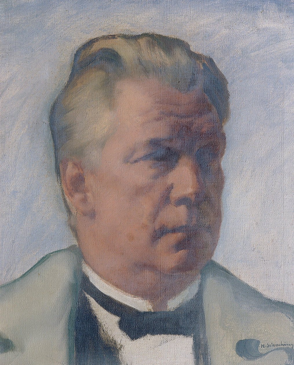 Arquitecto Franz Matuschek de Hans Schachinger