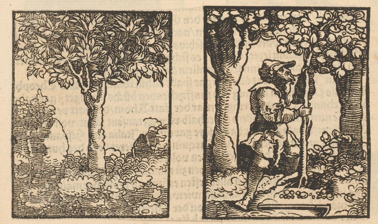 Árbol y representación de un recolector de frutas entre árboles de Hans Schäufelein (possibly)