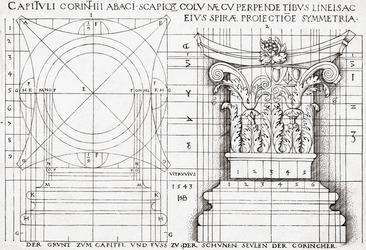 Sección transversal del capitel corintio y dibujo proporcional de Hans Sebald Beham