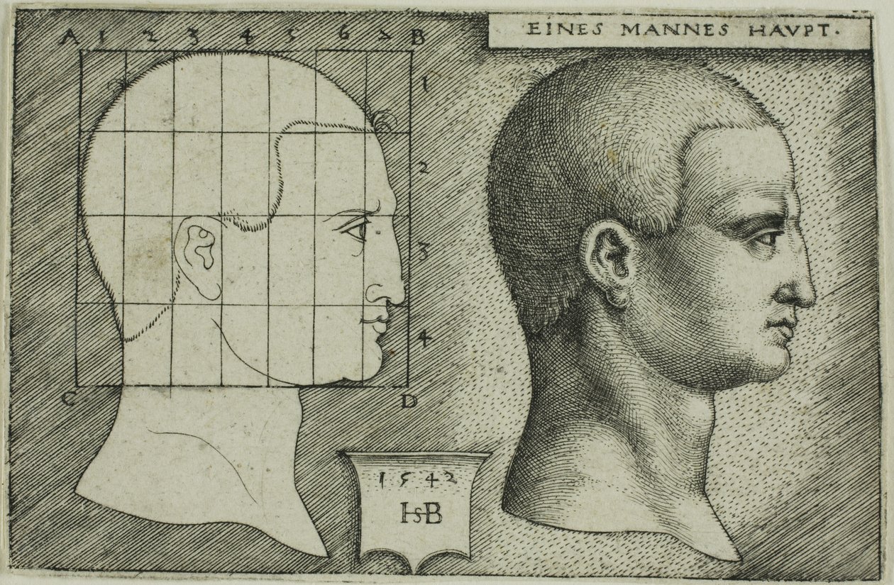 Estudio de perfil de la cabeza de un hombre de Hans Sebald Beham