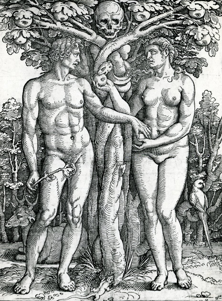 La caída de Adán y Eva, c.1525-27 de Hans Sebald Beham