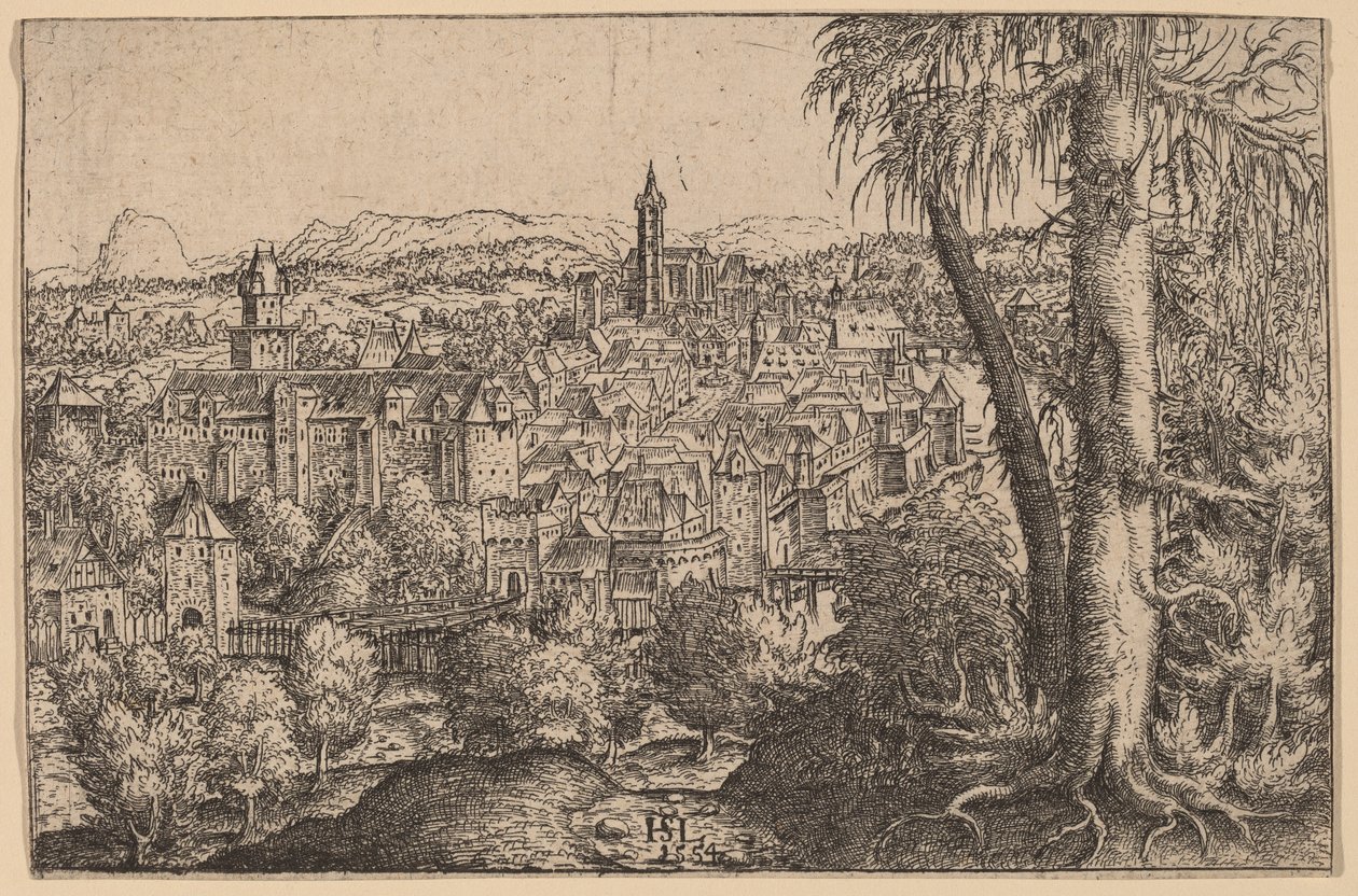 Vista de Steyr en Enns, 1554 de Hans Sebald Lautensack