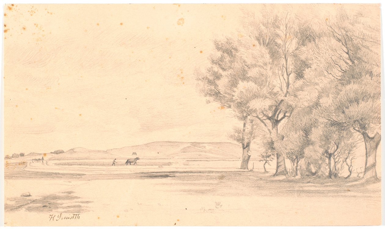Paisaje con campo arado; a la derecha, árboles altos de Hans Smidth